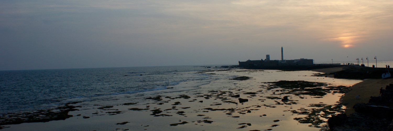 alcaudon89's profile banner image