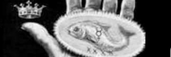 d1nar0 Profile Banner