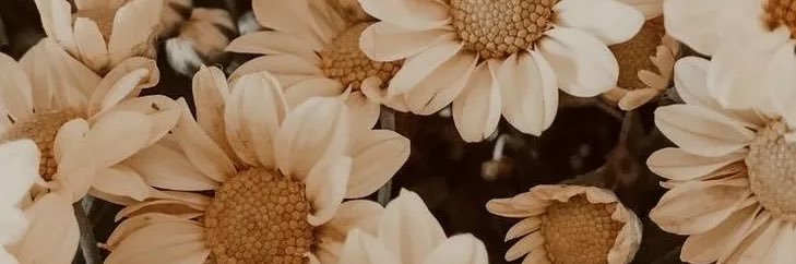 pIaywrights's profile banner image