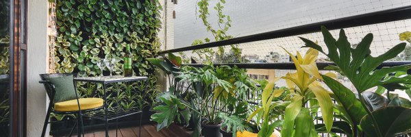 cldforest Profile Banner