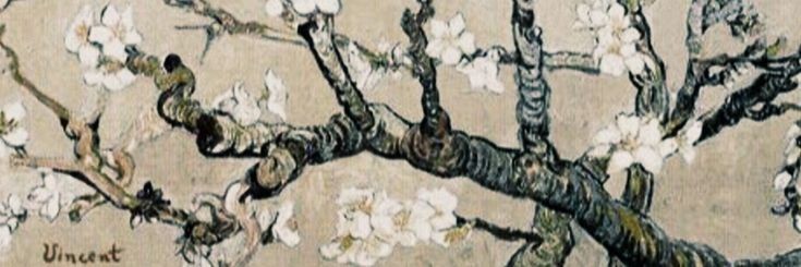 Koelheid's profile banner image
