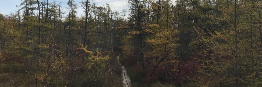 TheNolanCarlson's profile banner image