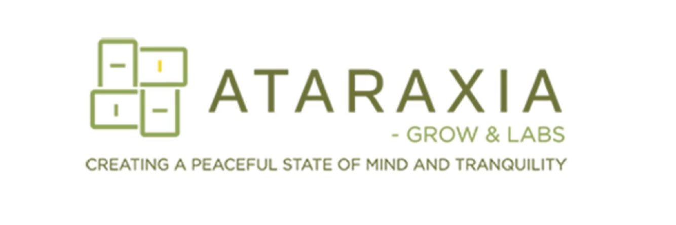 ataraxiamm's profile banner image