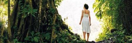 Yaz Vera ♻️ banner