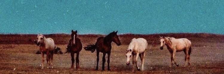 ElizabethNR94's profile banner image