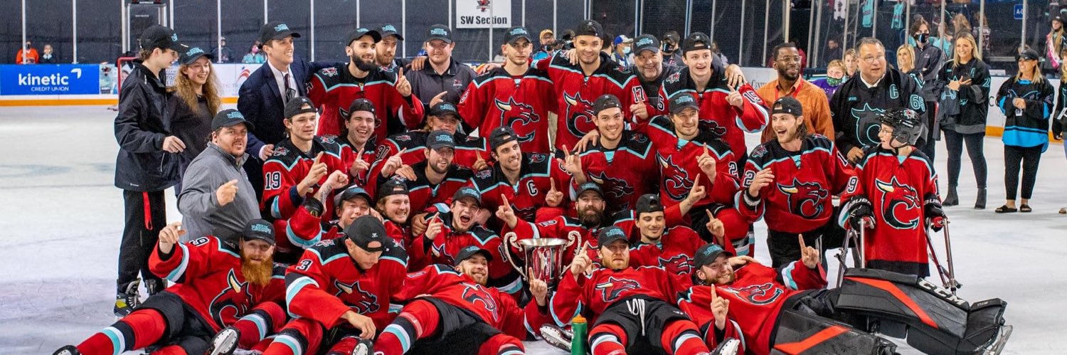 itssdaabird's profile banner image