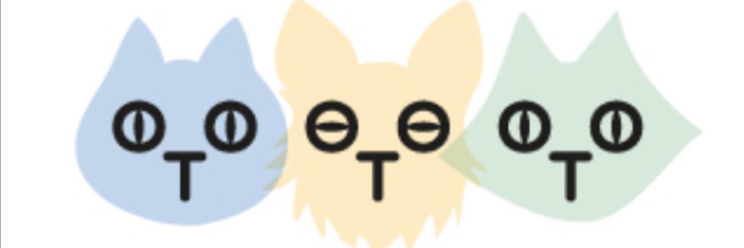 kotodetki's profile banner image