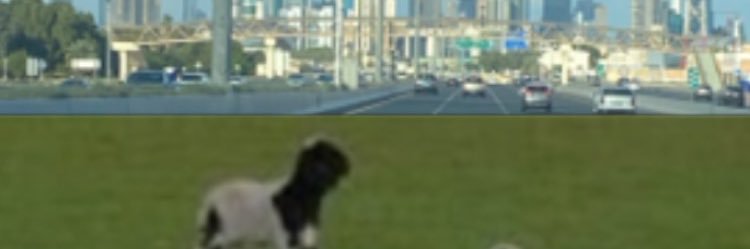 Abo3baid65's profile banner image