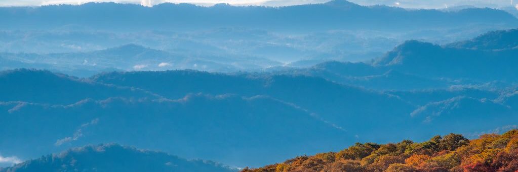 DaveNYB19's profile banner image