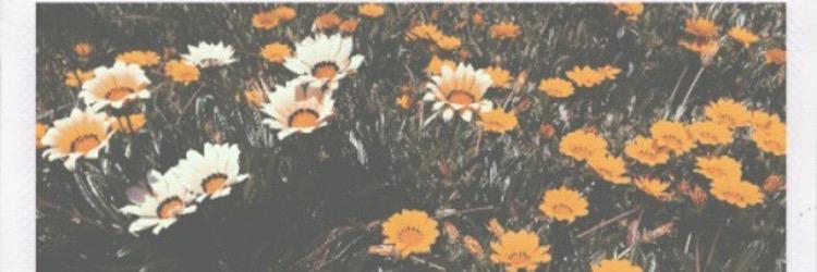 Chhel_C's profile banner image