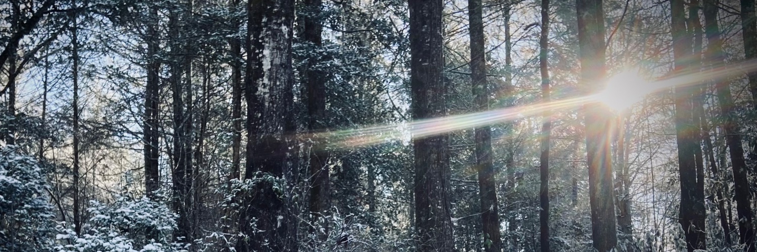 PJDoe's profile banner image