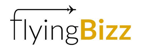 FlyingBizz's profile banner image