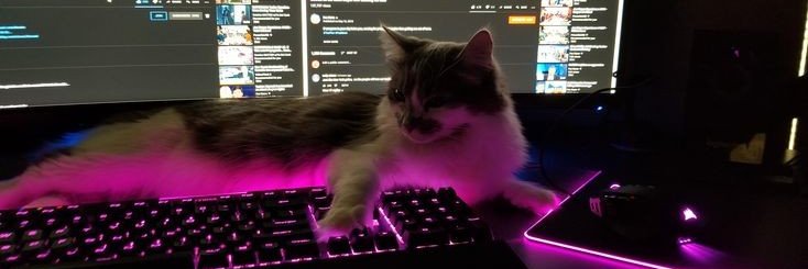 imsorrylucas's profile banner image