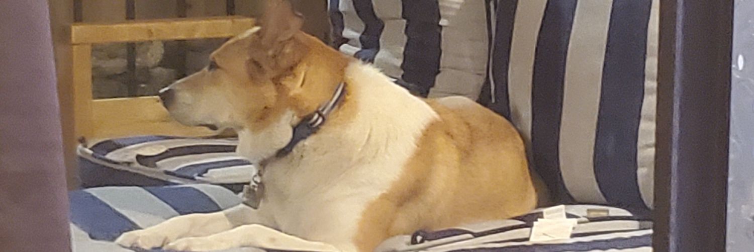 DKellylynn's profile banner image