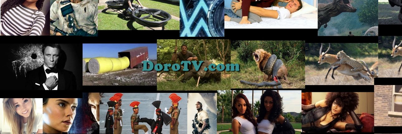 dorotvent's profile banner image