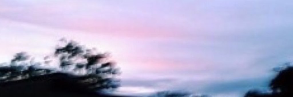 SCREAMQUEENSF0X's profile banner image