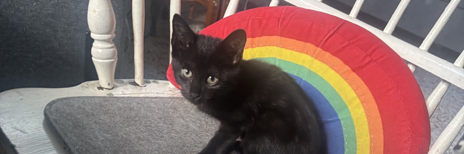 Scott Galvin 🇺🇲🏳️‍🌈 banner