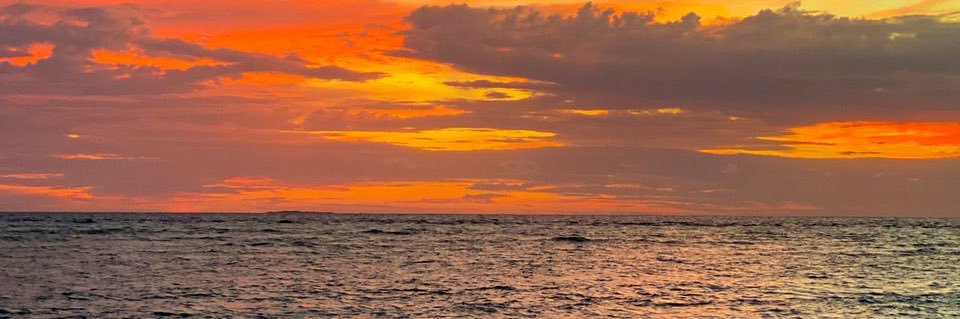 thalifasteph's profile banner image
