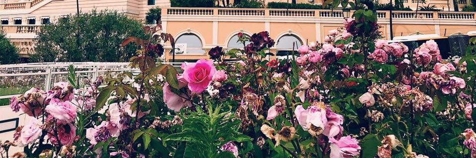 MallorydeAvila's profile banner image
