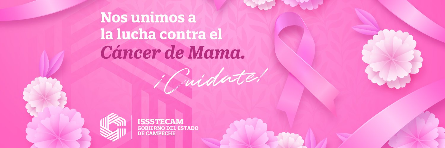 Issstecam's profile banner image
