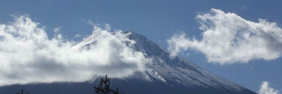 Michelle O Callaghan banner