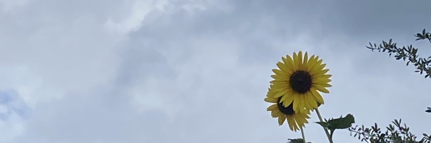 deladydj's profile banner image