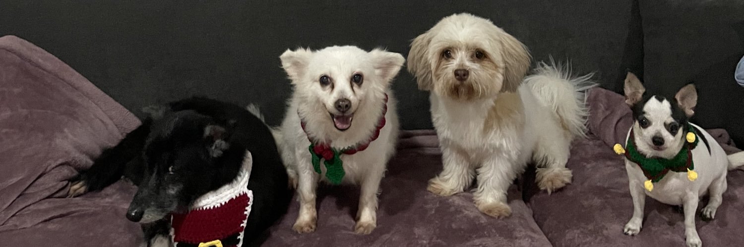 meetzoey's profile banner image
