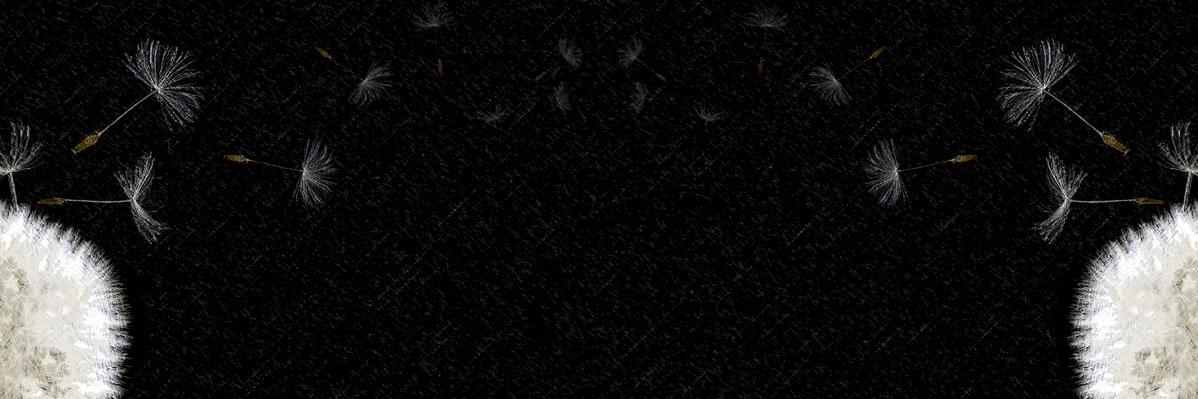 C_Curiosa's profile banner image