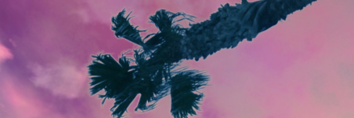 ThtBoyD2's profile banner image
