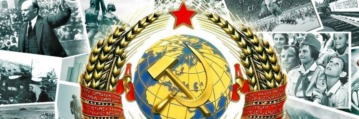 selezen61's profile banner image