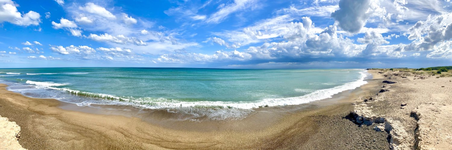 Daniel Agosti banner