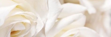 anakarenes_'s profile banner image