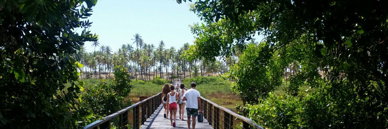 Delfina Matos banner