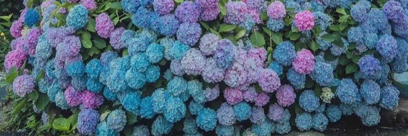 John_Pridmore's profile banner image
