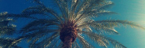 AllenCrawley Profile Banner