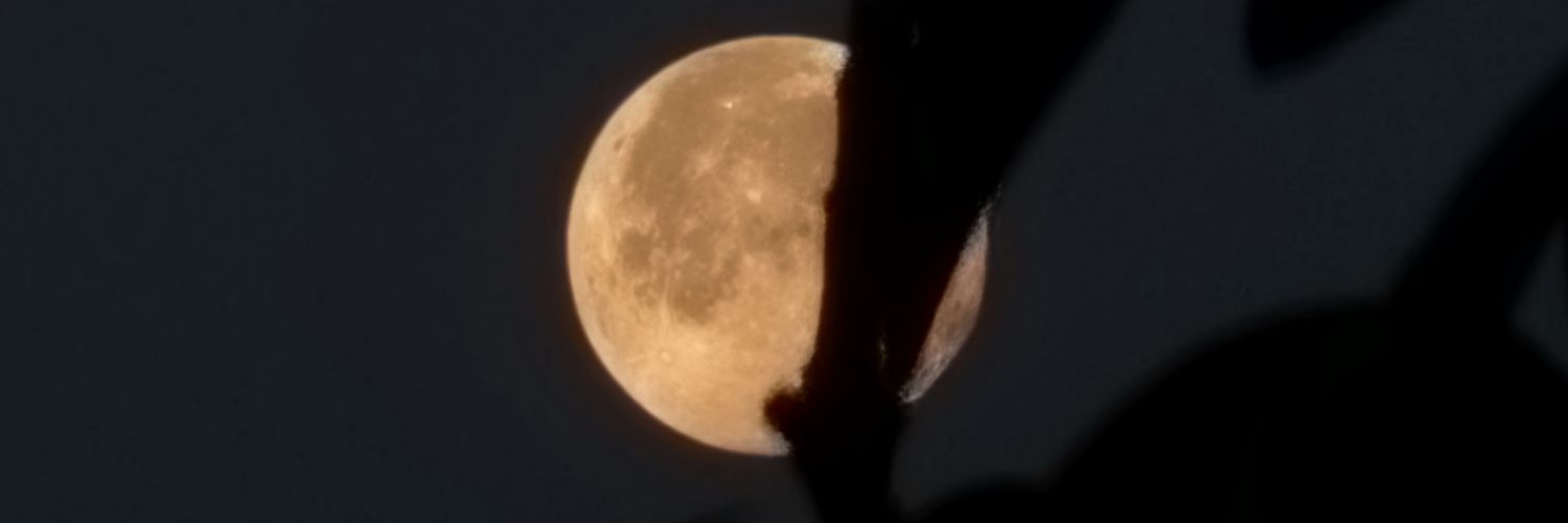 certainsomeonee's profile banner image
