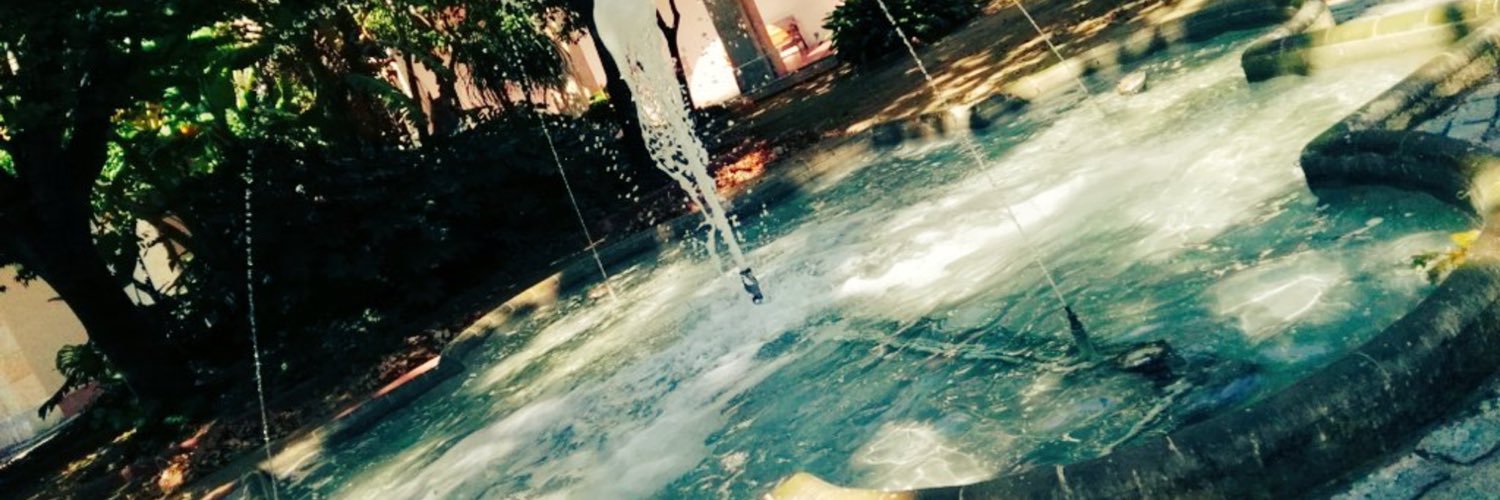 SaviReus's profile banner image