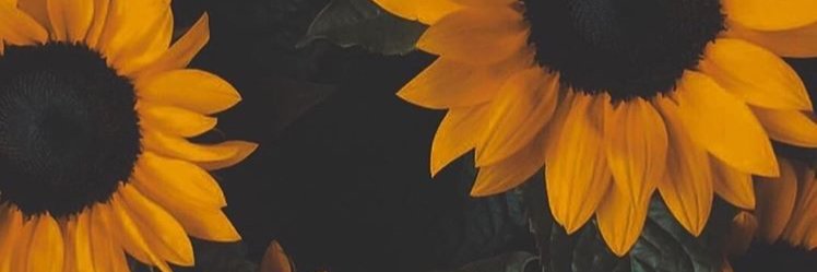 jucilianee's profile banner image
