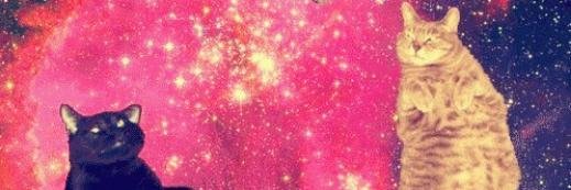 heybearfckr's profile banner image