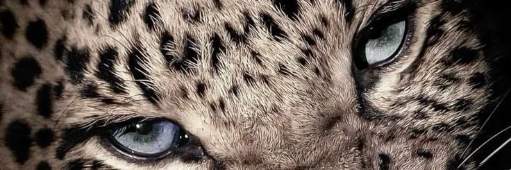 woonuoom's profile banner image
