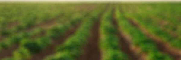 jacobvdborne Profile Banner