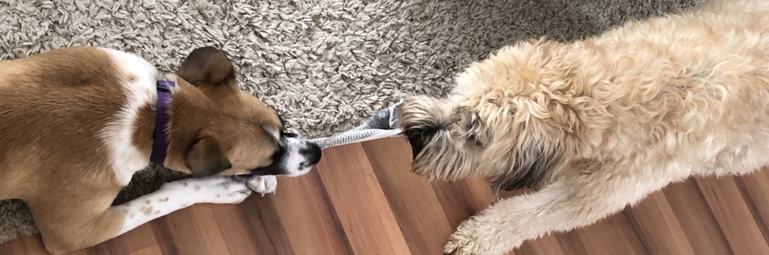 James Robertson banner