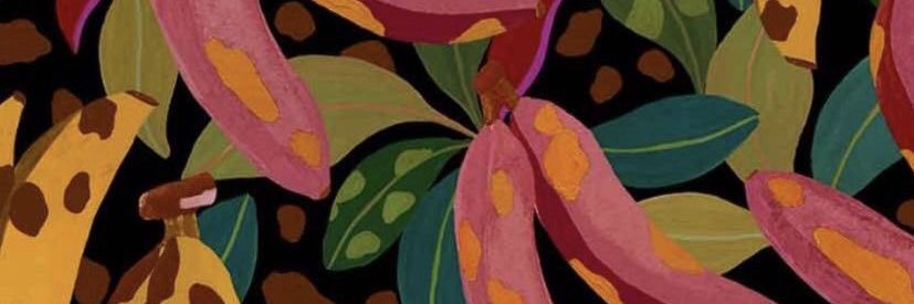 yasminpires's profile banner image
