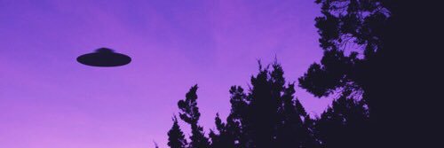 durrniela's profile banner image