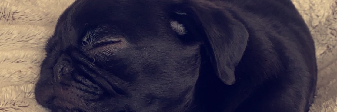 AlCaMaD1002's profile banner image