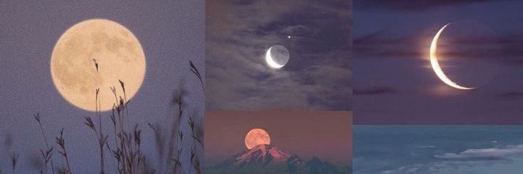 Jasmin banner
