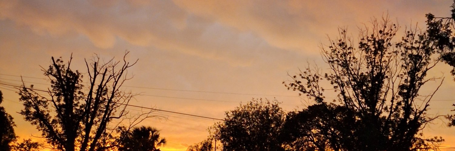 fabchavc's profile banner image