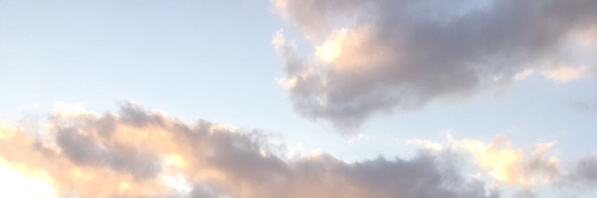 _safaana's profile banner image