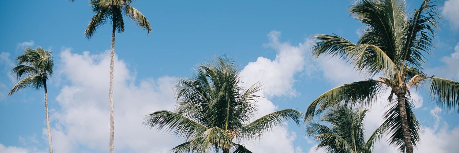 doaasabry2471's profile banner image