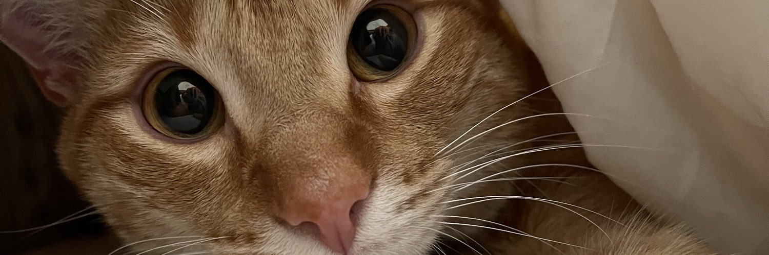 saavedra_a_'s profile banner image